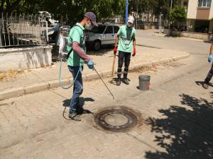 EFELERDE LARVA İLAÇLAMASI TÜM HIZIYLA SÜRÜYOR