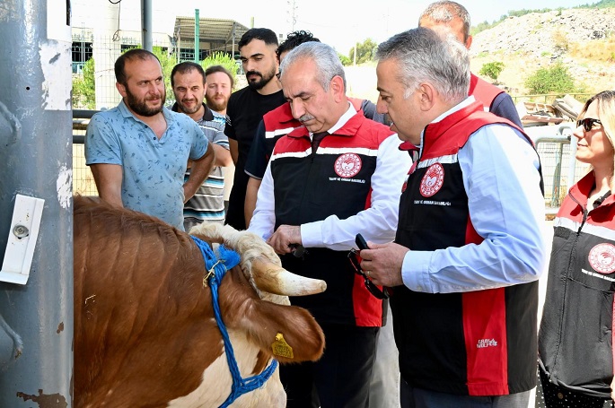 Kurban Bayramına İzmir Hayvan Pazarları Hazır