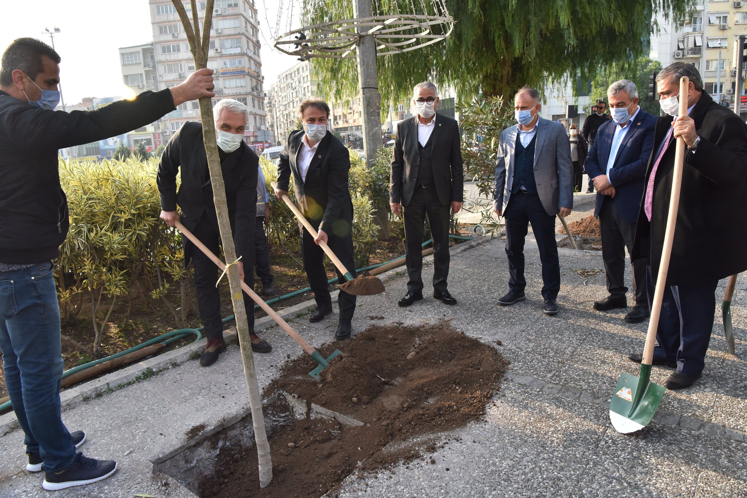 800 zeytin fidanı daha toprakla buluştu